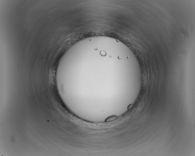 X0000111640038200907171047