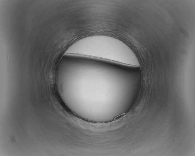 X0000111640039200907171047