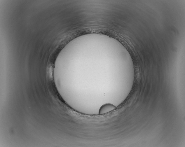 X0000111640042200907171047
