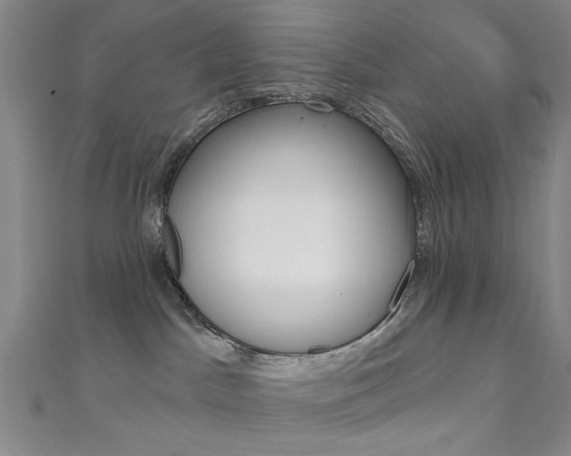 X0000111640045200907171047