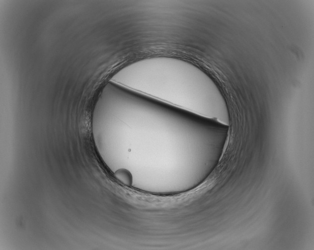 X0000111640048200907171047