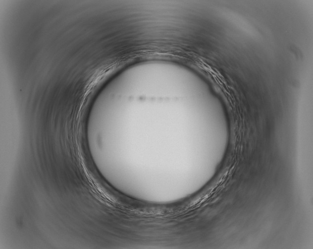 X0000111640049200907171046