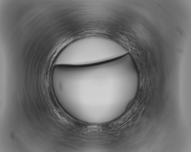 X0000111640050200907171046