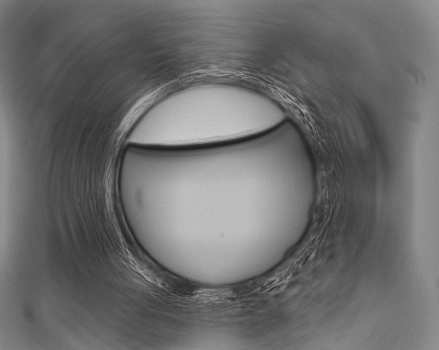 X0000111640051200907171046