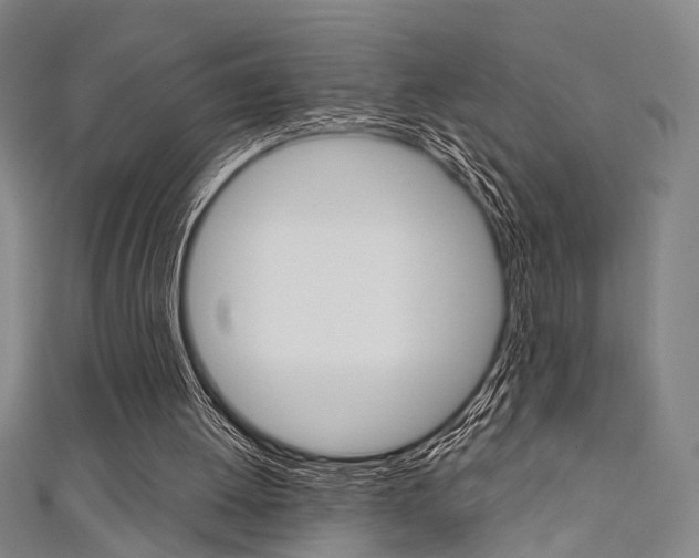 X0000111640052200907171046