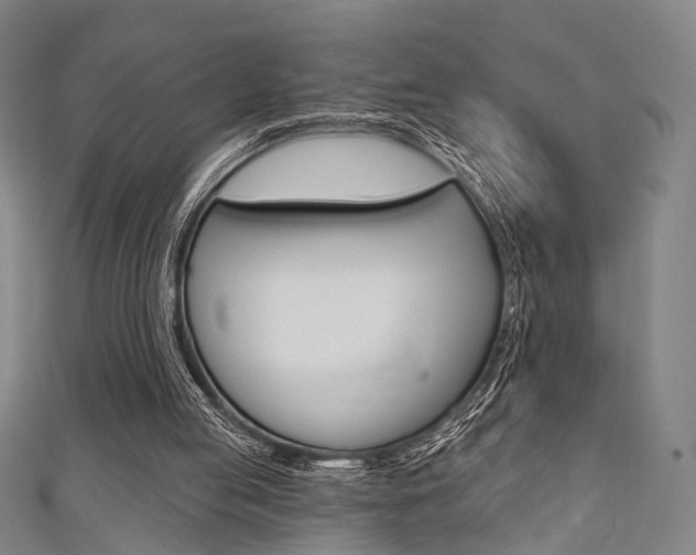 X0000111640053200907171046