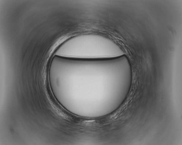 X0000111640054200907171046