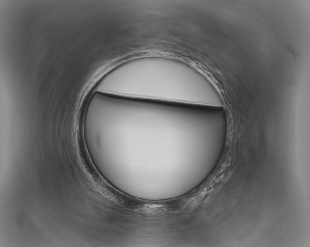 X0000111640055200907171046