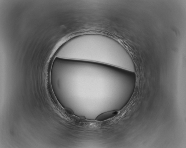 X0000111640056200907171046