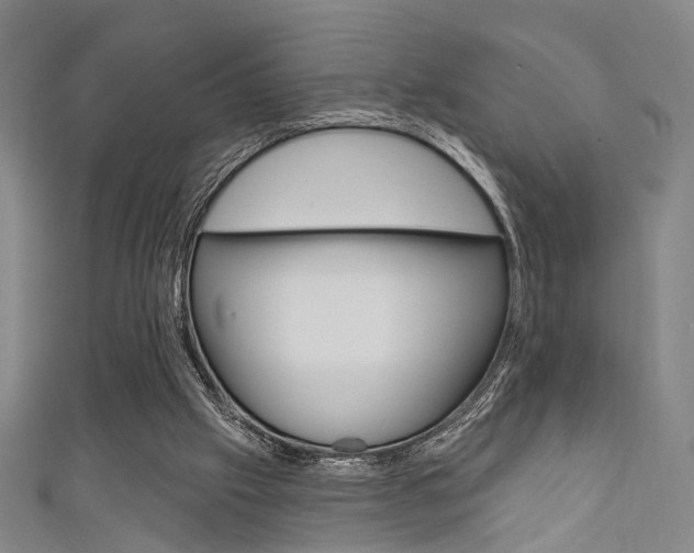 X0000111640057200907171046