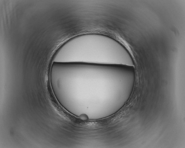 X0000111640059200907171046