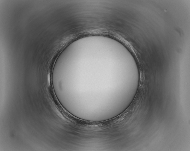 X0000111640061200907171046