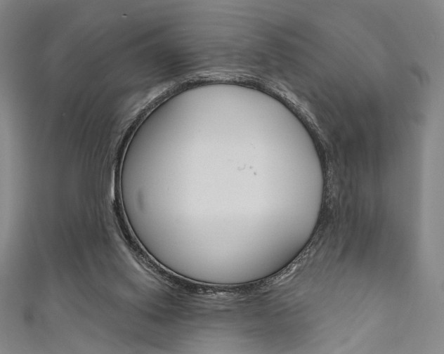 X0000111640062200907171046