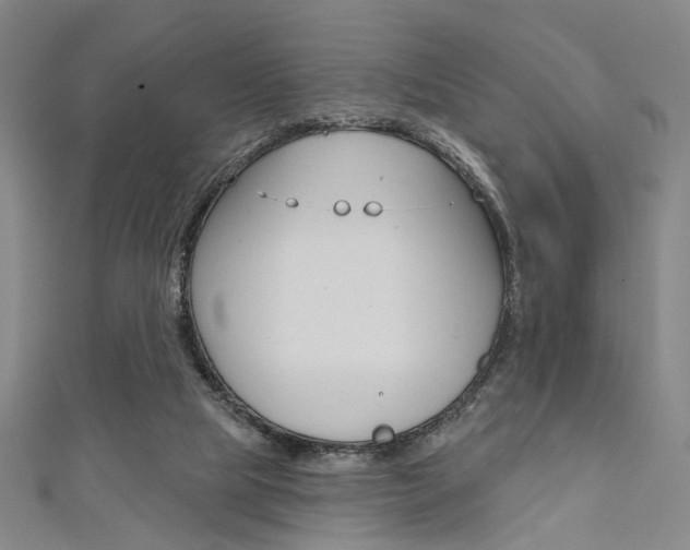 X0000111640065200907171046