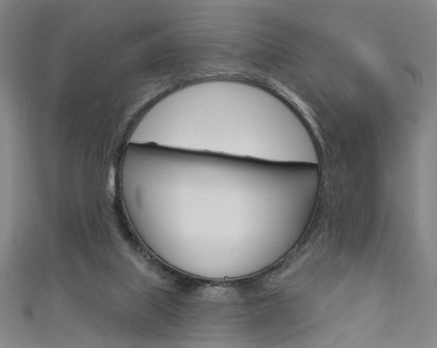 X0000111640067200907171047