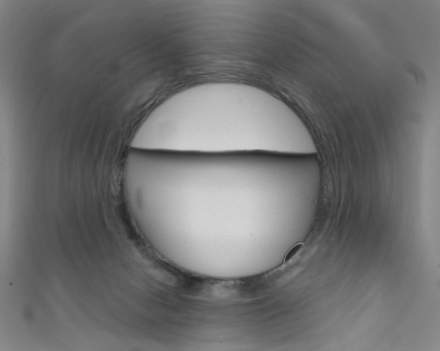 X0000111640078200907171047