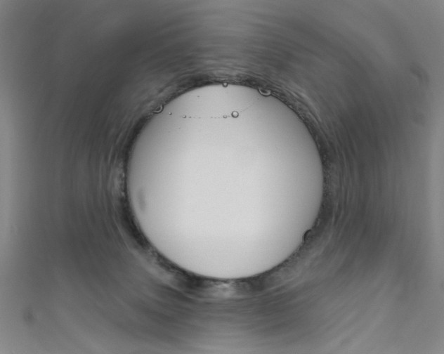 X0000111640083200907171047