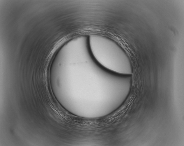 X0000111640099200907171046