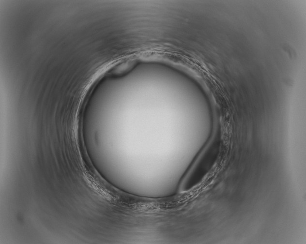 X0000111640100200907171046