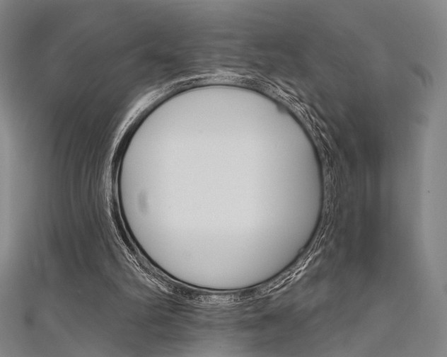 X0000111640102200907171046