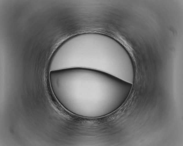 X0000111640107200907171046