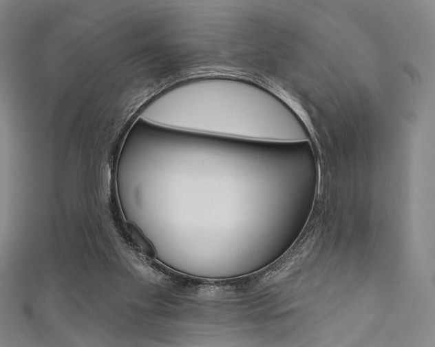 X0000111640109200907171046