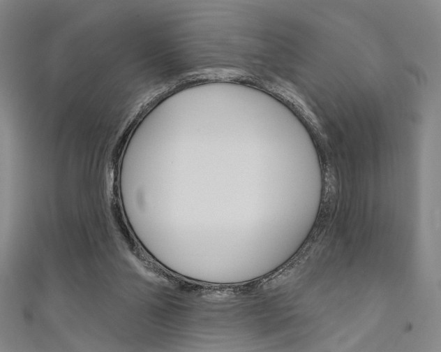 X0000111640110200907171046