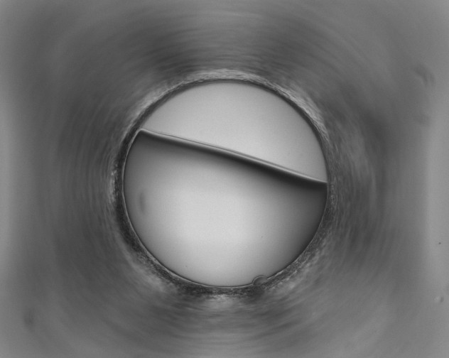 X0000111640111200907171046