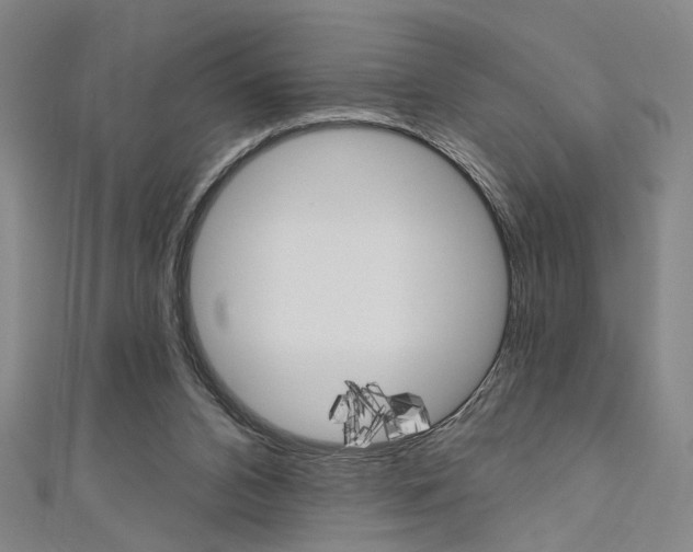X0000111640112200907171046