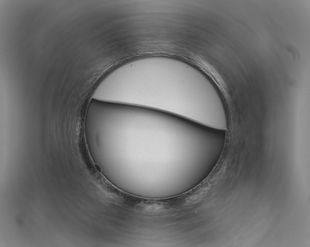 X0000111640113200907171046
