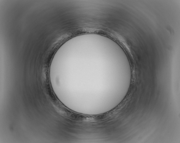 X0000111640114200907171046