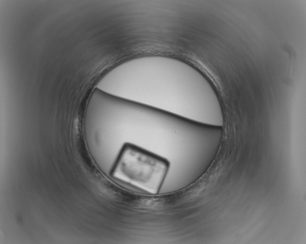 X0000111640117200907171046