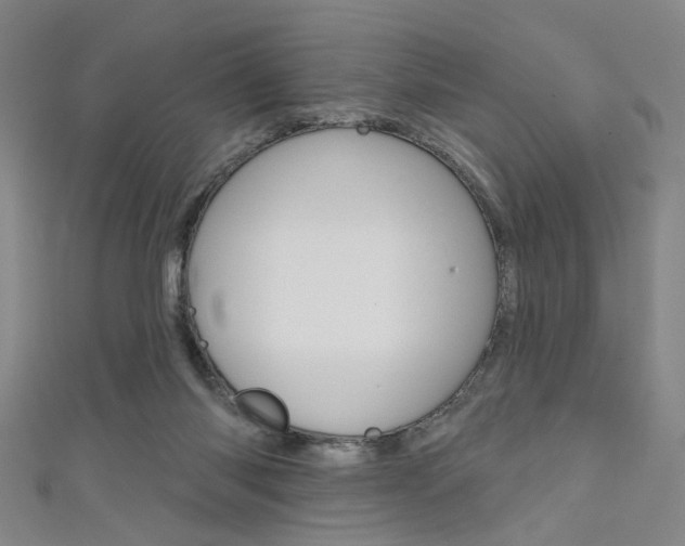 X0000111640118200907171046