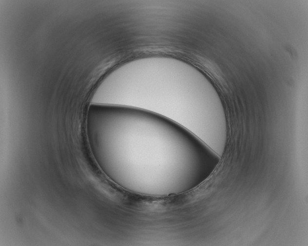X0000111640120200907171046