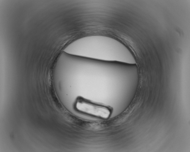 X0000111640121200907171046