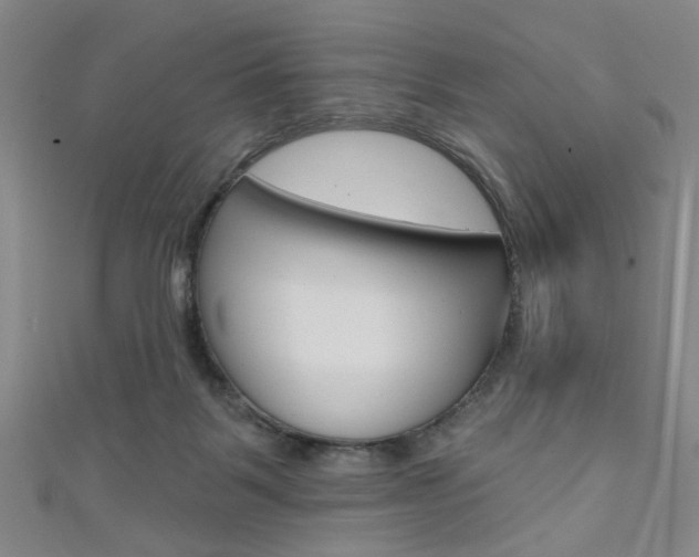 X0000111640123200907171046