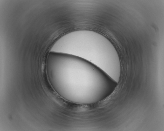 X0000111640124200907171046
