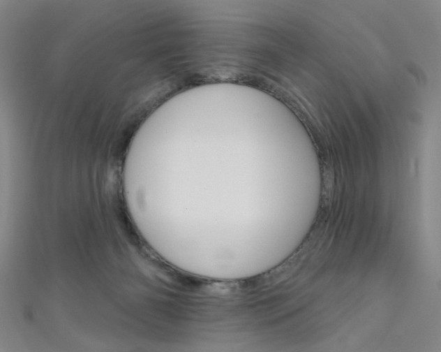 X0000111640126200907171046
