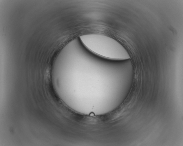 X0000111640127200907171046