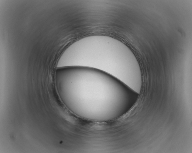 X0000111640128200907171046