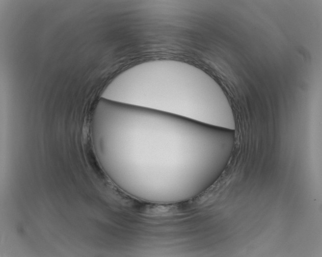 X0000111640129200907171046