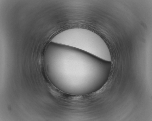 X0000111640132200907171046
