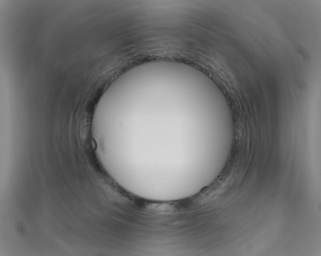 X0000111640133200907171046