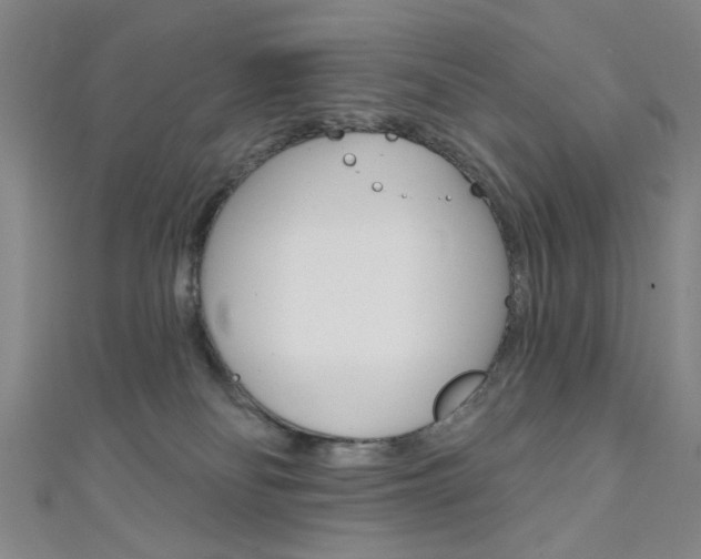 X0000111640134200907171046