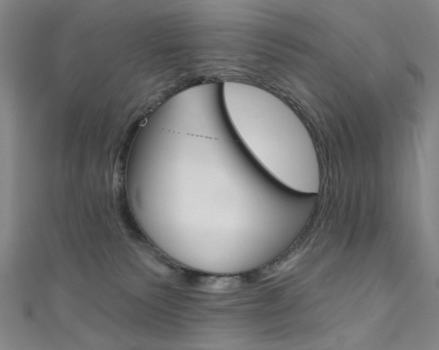 X0000111640135200907171046