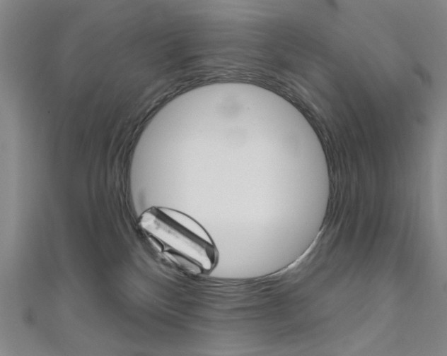 X0000111640136200907171046