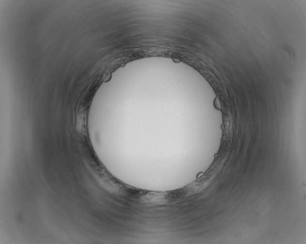 X0000111640138200907171046