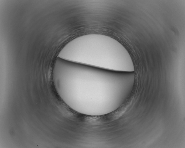 X0000111640139200907171046