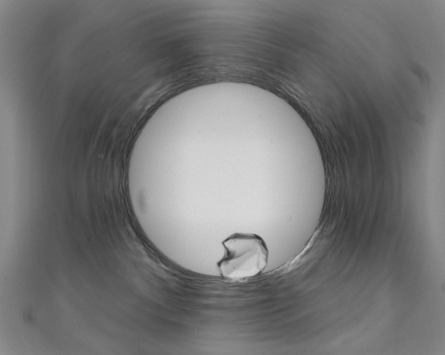 X0000111640140200907171046