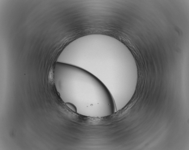 X0000111640143200907171046